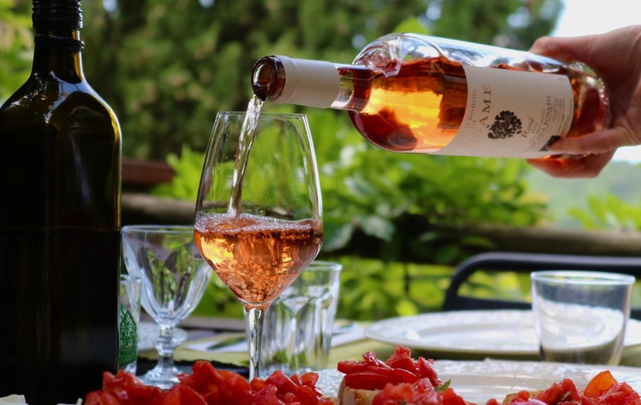 Antico Borgo Di Sugame Villa Greve in Chianti Dış mekan fotoğraf