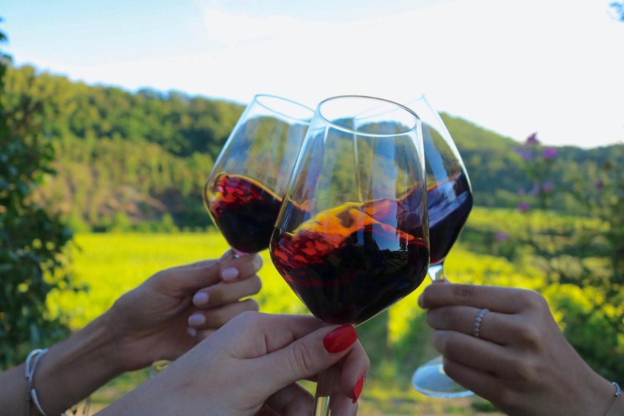 Antico Borgo Di Sugame Villa Greve in Chianti Dış mekan fotoğraf