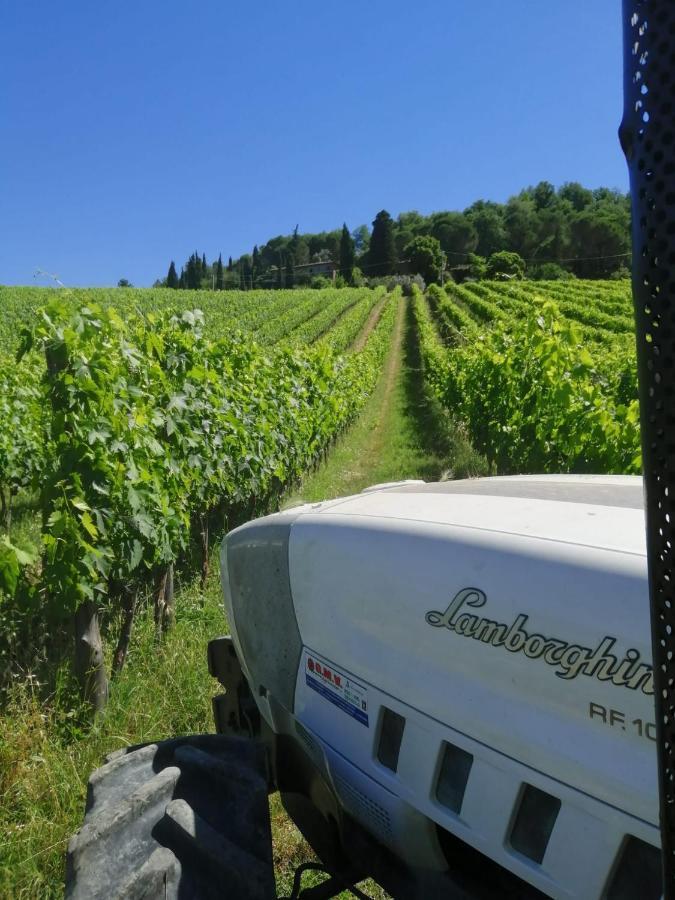 Antico Borgo Di Sugame Villa Greve in Chianti Dış mekan fotoğraf