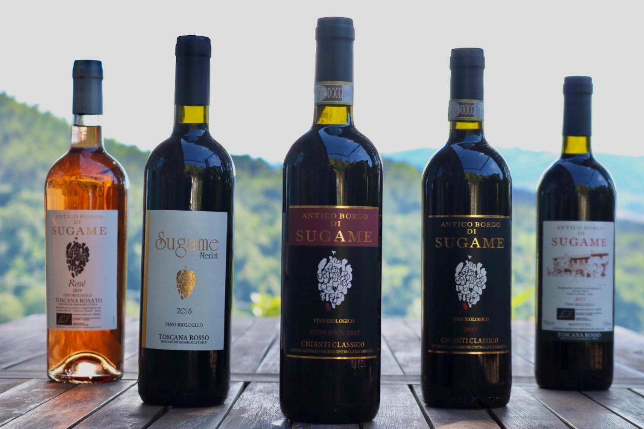 Antico Borgo Di Sugame Villa Greve in Chianti Dış mekan fotoğraf