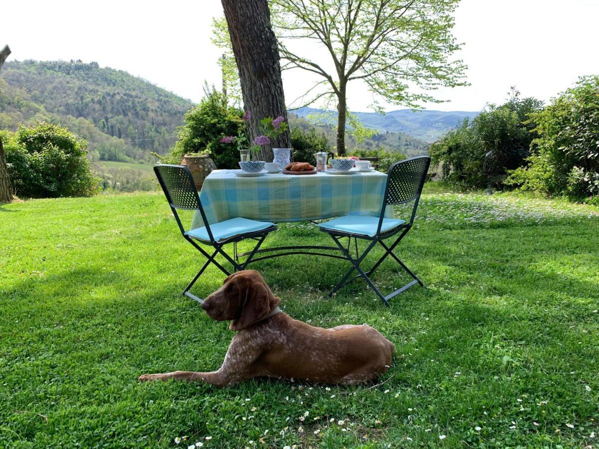 Antico Borgo Di Sugame Villa Greve in Chianti Dış mekan fotoğraf